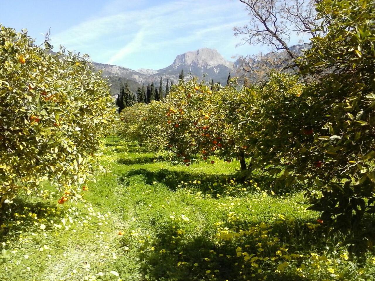 Estada en una granja Cas Sant *