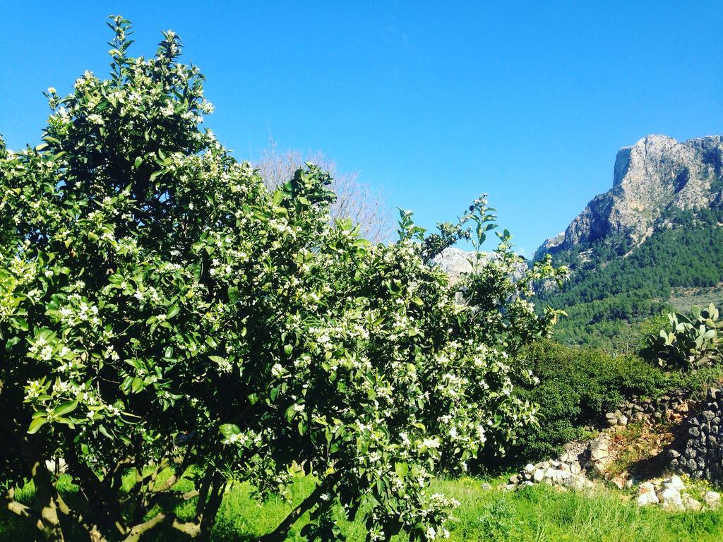 Cas Sant Farm stay Soller