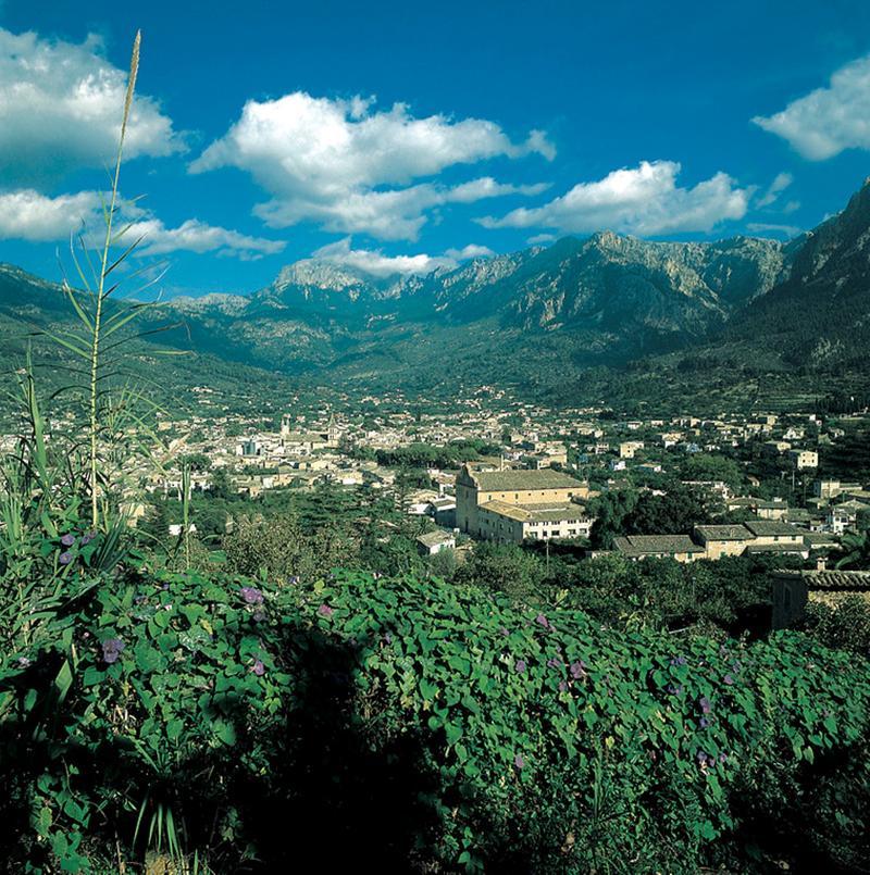 Cas Sant Farm stay Soller